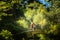 Romantic girl in red dress is walking in Regaleira Palace, Quinta da Regaleira, and luxurious park located in Sintra. World