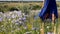 Romantic girl walking in flowers in a blue dress