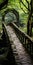 Romantic Gothic Japanese Stone Bridge In A Green Forest