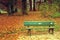 A Romantic Green Bench in the middle of Autumn