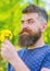 Romantic hipster made bouquet, green nature background, defocused. Romantic concept. Bearded man holds yellow dandelions