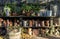 Romantic idyllic plant table in the garden with old retro flower pot pots, tools and plants