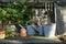 Romantic idyllic plant table in the garden with old retro flower pot pots, tools and plants