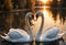 Romantic image couple swans on the lake at sunset. Generative AI