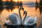 Romantic image couple swans on the lake at sunset. Generative AI