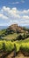 Romantic Italian Vineyard Landscape Painting By Dalhart Windberg