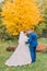 Romantic kiss of newly married couple in sunny park. Groom is gently holding his elegant bride