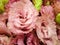 Romantic, large, wavy eustoma flowers in pink with a terracotta hue