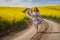 Romantic latino woman barefoot on a road in canola field