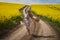 Romantic latino woman barefoot on a road in canola field