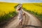Romantic latino woman barefoot on a road in canola field
