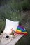 Romantic lgbt picnic with rainbow flag. Lgbti love concept.