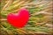 Romantic lovely valentine red heart on grass flower for love background