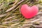Romantic lovely valentine red heart on grass flower for love background