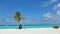 Romantic maldivian landscape. On a white sand stands a palm tree with fluttering leaves and a swing