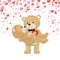 Romantic Male Bear Holding Female Animal on Arms