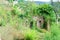 Romantic medieval ruins covered by green plants, abandoned city Mystras, Greece