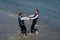 Romantic men same sex marriage. Gay grooms walking together on sea beach during Wedding day. Romantic men in sea water.