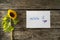 Romantic Miss u message next to a beautiful sunflower