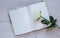 Romantic mood mock up for your text and design, top view, flat lay, notepad with white rose at rustic wooden background