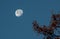 Romantic Moon Eclipse On Twilight Sky