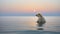 Romantic Moonlit Seascapes: Polar Bear On Ocean Pond At Sunset