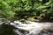 The romantic mountain stream Bode