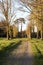 Romantic and mysterious alley path with old big trees in park. Beauty nature landscape.