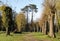 Romantic and mysterious alley path with old big trees in park. Beauty nature landscape. Summer walk.