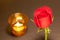 Romantic night, single beautiful red rose with blurred candlelight in background.