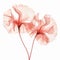 Romantic Oriental Minimalism: Delicate 3d Carnation X-ray Illustration