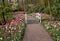 Romantic path in the park between blooming colorful tulips