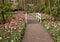 Romantic path in the park between blooming colorful tulips .