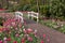 Romantic path in the park between blooming colorful tulips