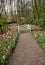 Romantic path in the park between blooming colorful tulips .