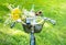 Romantic picnic - flowers and wine in bicycle basket