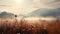 Romantic Pink Flowers And Fog In A Stunning Autumn Meadow