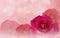 Romantic pink roses and water drop abstract pastel valentine background