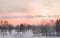 Romantic pink sunset, sky view, city Park and houses, winter landscape, Russia, Siberia