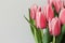 Romantic pink Tulips with space for message