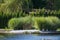 Romantic place with bench at SÃ¤gmÃ¼hlweiher bathing lake in Ludwigswinkel in Rhineland-Pfalz