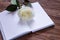 Romantic poetry. Empty notebook with white luxury rose