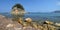Romantic quiet beach with a small island on Elba island.