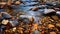 Romantic Riverscapes: A Captivating Stream Amidst Autumn Leaves