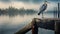 Romantic Riverscapes: A Heron\\\'s Tale On An Old Pier