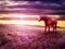Romantic scenery with horse