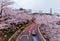 Romantic scenery of illuminated cherry blossom trees  Sakura namiki  in Tokyo Midtown at dusk