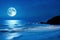 Romantic and Scenic Panorama: Enchanting Full Moon Night Over the Sea.
