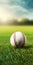 Romantic Soft Focus Baseball Ball On Green Field