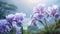 Romantic Soft Focus: Ethereal Iris Flowers In The Japanese Mountains